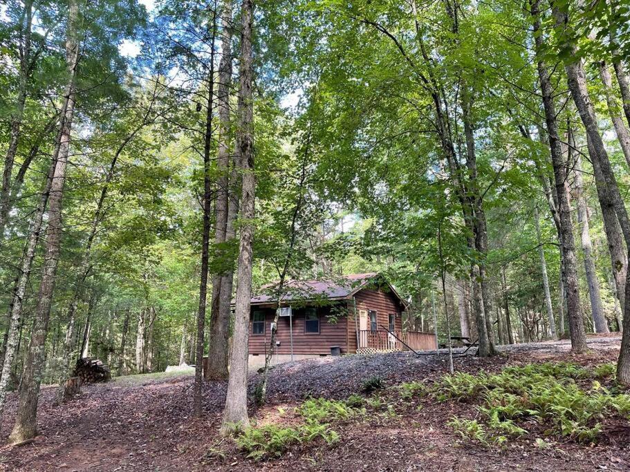 Private Cozy Cabin In The Woods With Great View Murphy Εξωτερικό φωτογραφία