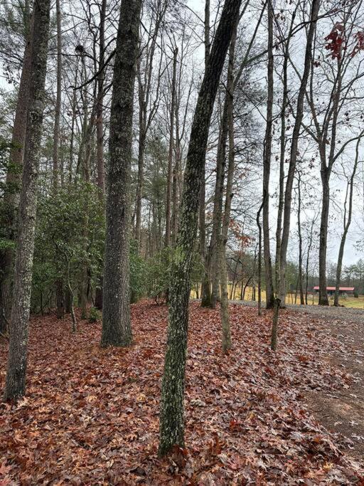 Private Cozy Cabin In The Woods With Great View Murphy Εξωτερικό φωτογραφία